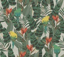 Arcadia Collection