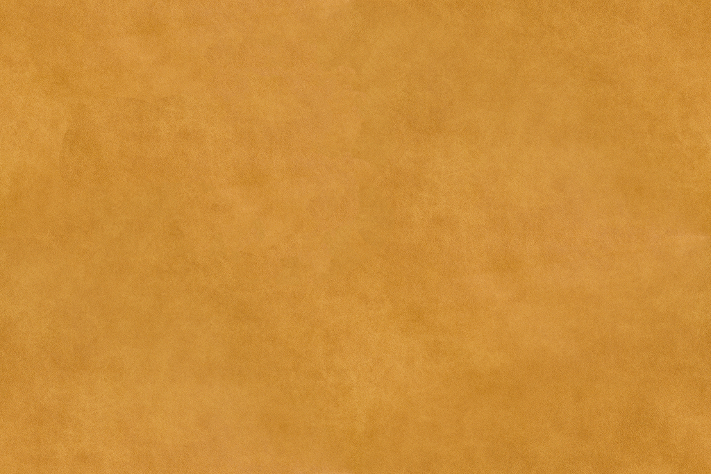 Bizon Collection Toptextil