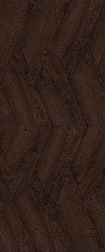 Folia Yles Collection