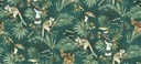 Sumatra Expedition Collection