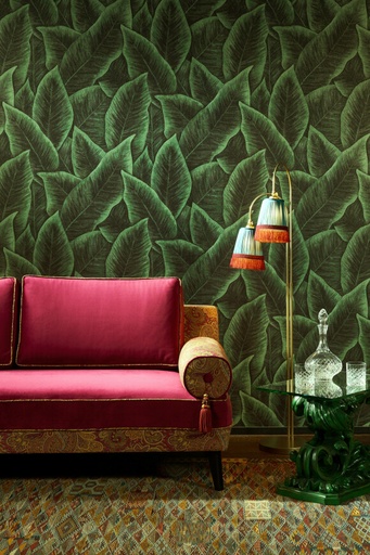Bird of paradise Collection