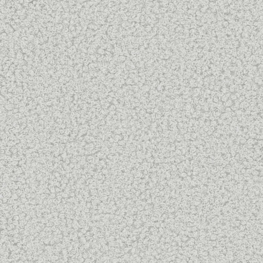 Now or Never Collection Davis